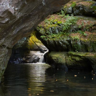 Interior of Pewit's Nest