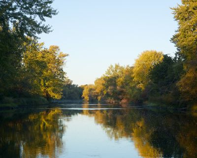 Downstream Daybreak 