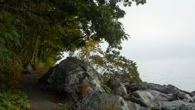 Shoreline Boulders