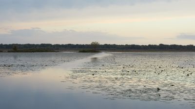 Surface of Hennepin Hopper Lake 