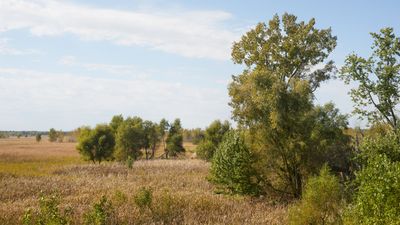 Mesic Prairie 2024