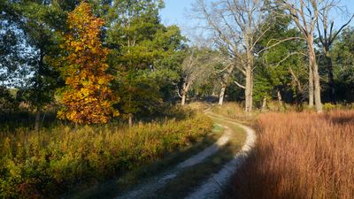 Trail at Amboy Marsh Nature Preserve