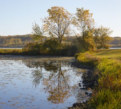Shabbona Lake Shoreline 2024