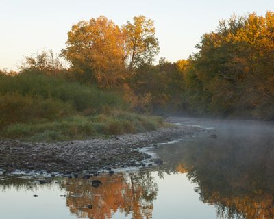 Daybreak Mist 