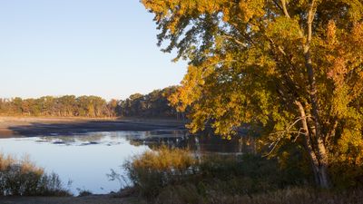 Early Morning at Nygren Wetland Preserve