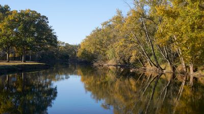 Sugar River Reflections