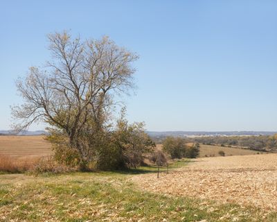 Hedgerow and Harvested Fields
