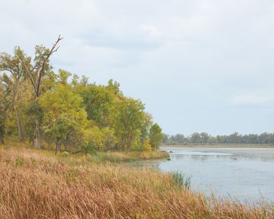 Clouds and Cattails