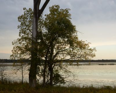 Shoreline Silhouette