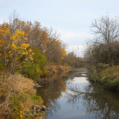 Cloudy Autumn Morning