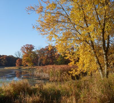 West Edge of Main Pond