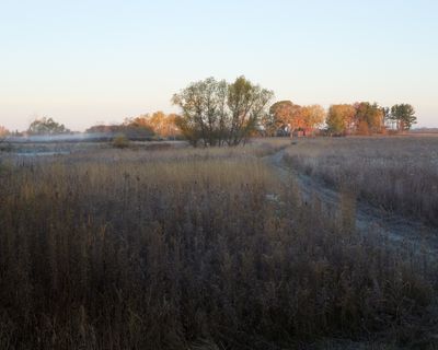 Frosty Morning in the Grassland