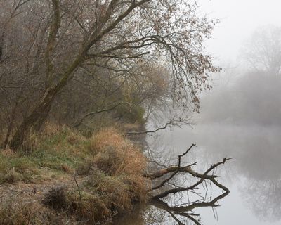 Along the Bank 