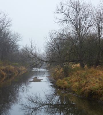 November Mist 