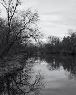 Branches along the South Branch 