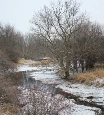 Bend in the Oxbow