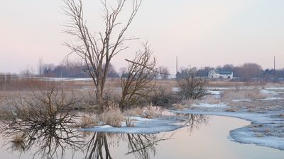 Calm and Cold Morning