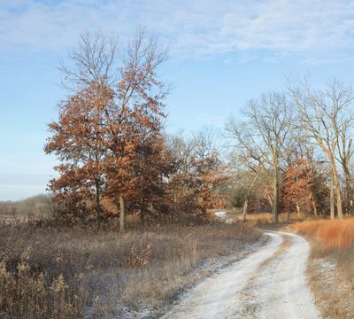 Trail around Big Marsh