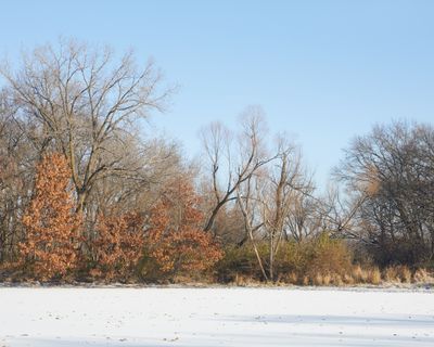 Frozen Sunshine