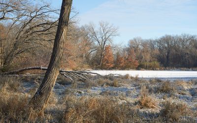 Cold Morning at Turtle Head Pond