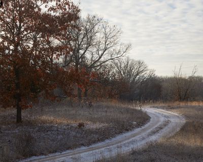 Past the Oaks
