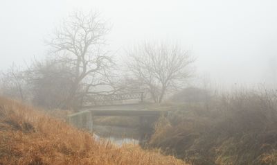 Field Bridge 2024