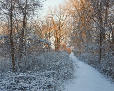 Path of the Illinois, Iowa and Minnesota Railway