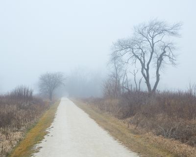 End of Year Fog