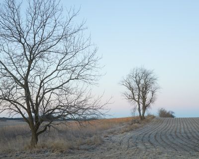 Between Fields in January