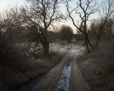 Dawn Descent
