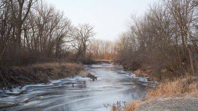 Frozen Green River