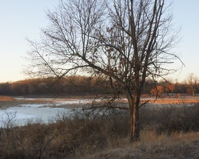 Alongside the Marsh