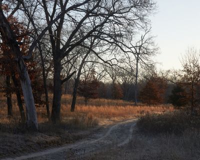 Bright Light on a Cold Morning