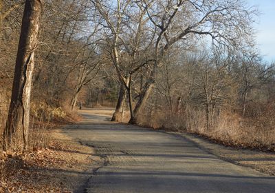 Morning Shadows along the River Road 