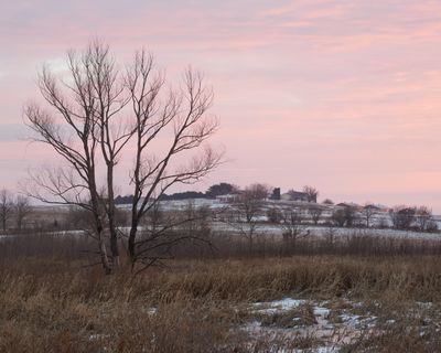 Dawn Glow