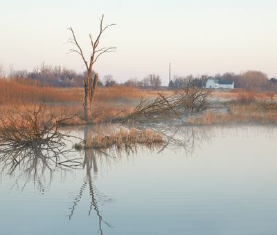 April Mist
