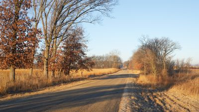 Morning Shadows along Lewis Road