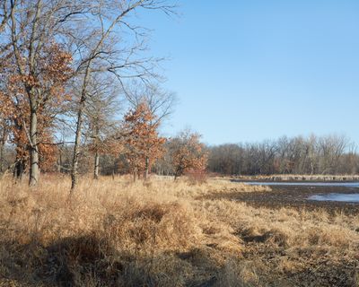 Edge of Main Pond