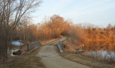 Daybreak at Big Rock Forest Preserve 
