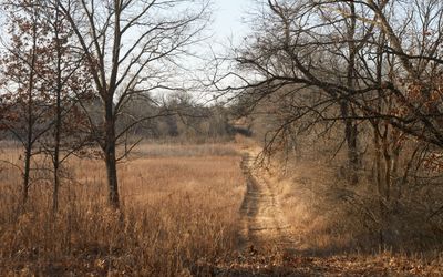 Firebreak at Tellabs Savanna