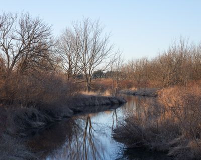 Little Rock Creek in Early Spring