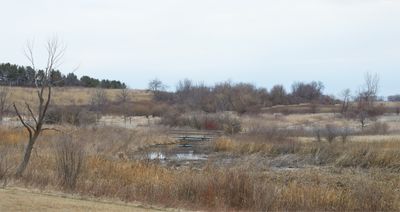 Prairie Overcast