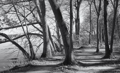 River Path 