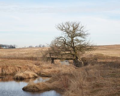 Field Bridge over Little Rock Creek
