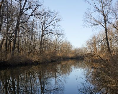 Quiet Morning at Somonauk Creek