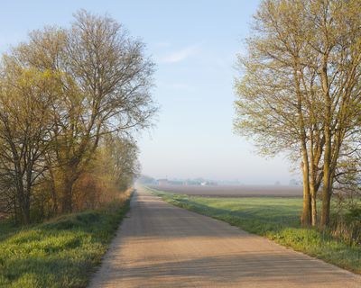 Fisk Road in May 