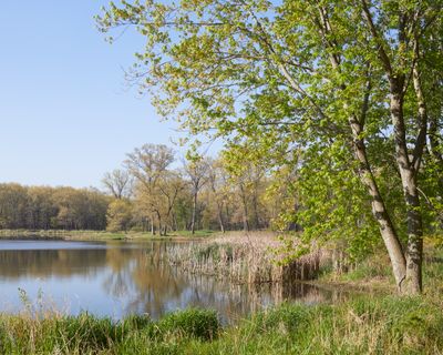 West End of Main Pond 