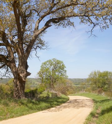 Heer Road in May