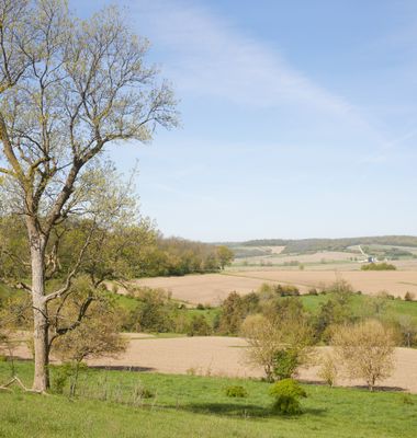 Little Rush Creek Valley