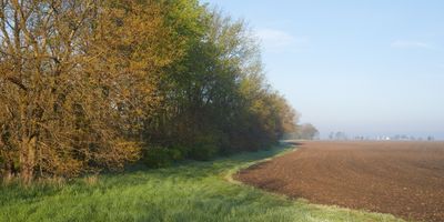 Lee County, Illinois